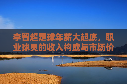 李智超足球年薪大起底,职业球员的收入构成与市场价值分析