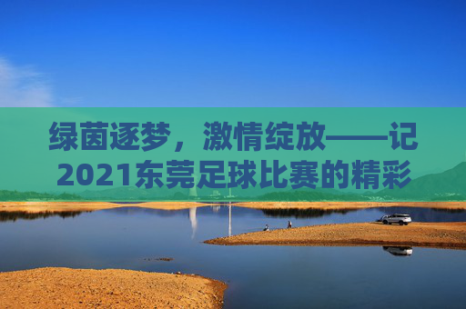 绿茵逐梦,激情绽放——记2021东莞足球比赛的精彩瞬间与城市温度