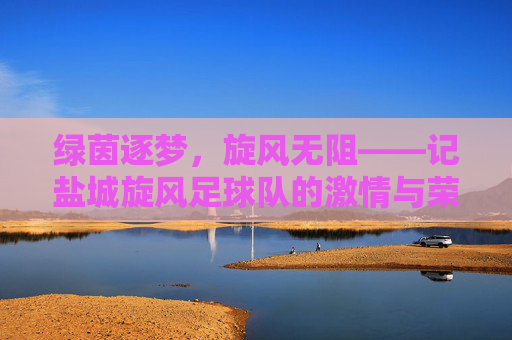 绿茵逐梦,旋风无阻——记盐城旋风足球队的激情与荣光