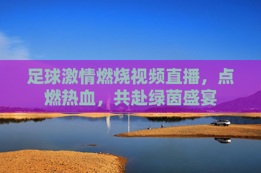 足球激情燃烧视频直播,点燃热血,共赴绿茵盛宴