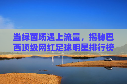 当绿茵场遇上流量,揭秘巴西顶级网红足球明星排行榜