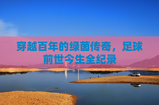 穿越百年的绿茵传奇,足球前世今生全纪录