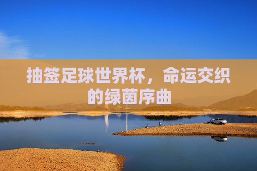 抽签足球世界杯,命运交织的绿茵序曲