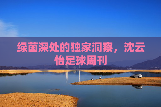 绿茵深处的独家洞察,沈云怡足球周刊