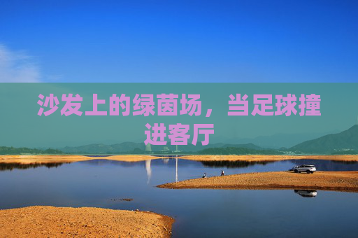 沙发上的绿茵场，当足球撞进客厅