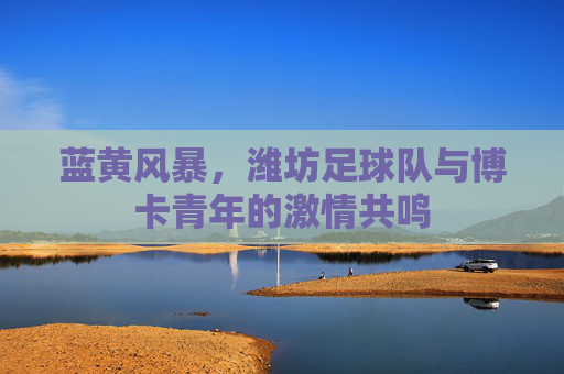 蓝黄风暴,潍坊足球队与博卡青年的激情共鸣