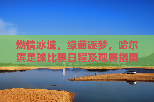 燃情冰城,绿茵逐梦,哈尔滨足球比赛日程及观赛指南