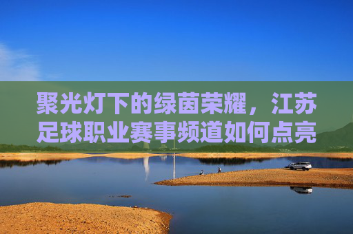 聚光灯下的绿茵荣耀,江苏足球职业赛事频道如何点亮本土激情