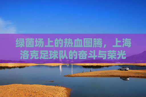 绿茵场上的热血图腾，上海洛克足球队的奋斗与荣光