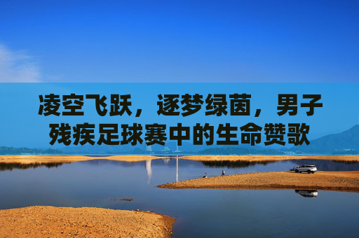 凌空飞跃,逐梦绿茵,男子残疾足球赛中的生命赞歌