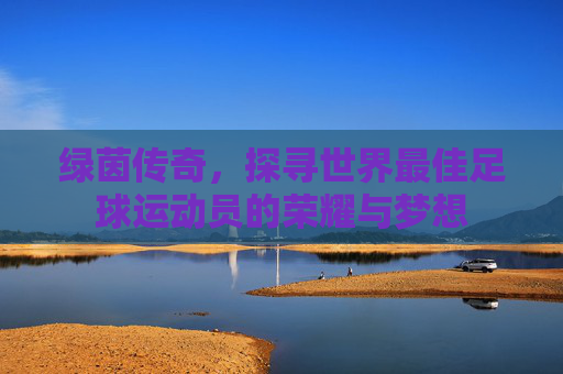 绿茵传奇,探寻世界最佳足球运动员的荣耀与梦想