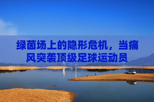 绿茵场上的隐形危机,当痛风突袭顶级足球运动员