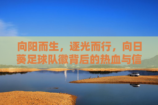 向阳而生,逐光而行,向日葵足球队徽背后的热血与信仰