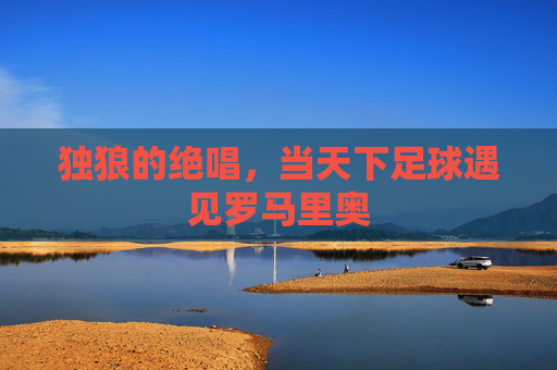 独狼的绝唱，当天下足球遇见罗马里奥
