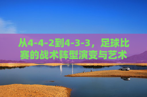 从4-4-2到4-3-3,足球比赛的战术阵型演变与艺术