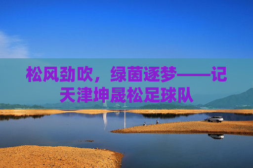 松风劲吹,绿茵逐梦——记天津坤晟松足球队