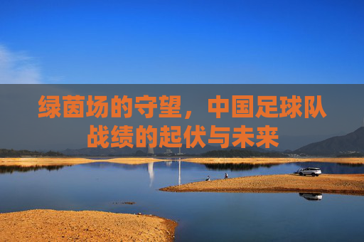绿茵场的守望，中国足球队战绩的起伏与未来