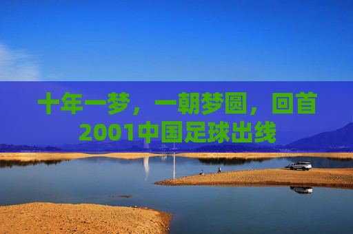 十年一梦,一朝梦圆,回首2001中国足球出线