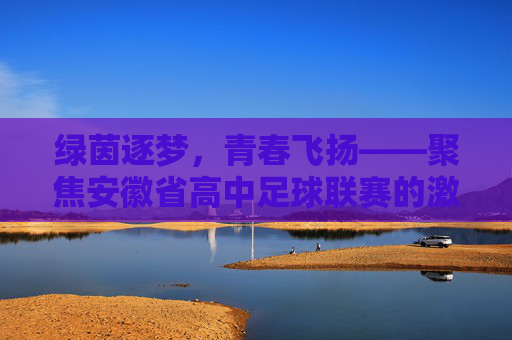 绿茵逐梦，青春飞扬——聚焦安徽省高中足球联赛的激情与荣光