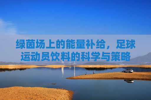 绿茵场上的能量补给,足球运动员饮料的科学与策略