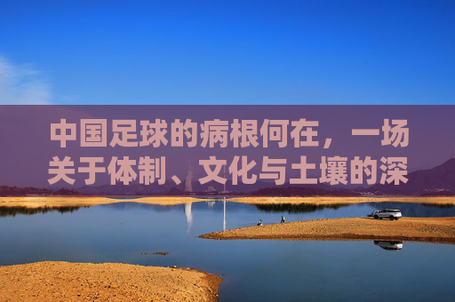 中国足球的病根何在，一场关于体制、文化与土壤的深层拷问