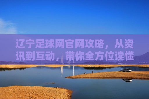 辽宁足球网官网攻略,从资讯到互动,带你全方位读懂辽足