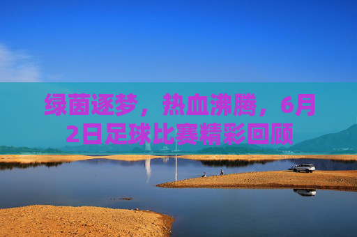 绿茵逐梦,热血沸腾,6月2日足球比赛精彩回顾