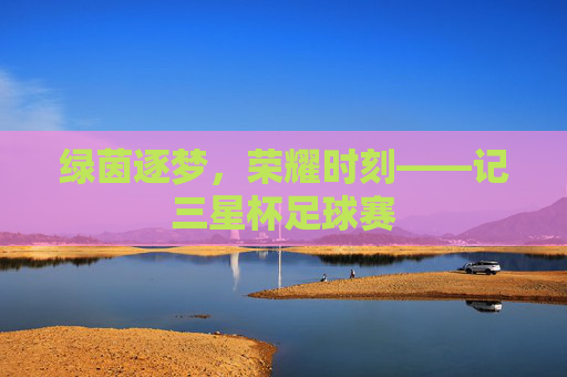 绿茵逐梦,荣耀时刻——记三星杯足球赛