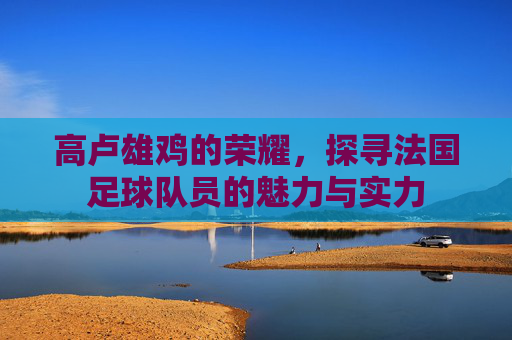 高卢雄鸡的荣耀，探寻法国足球队员的魅力与实力