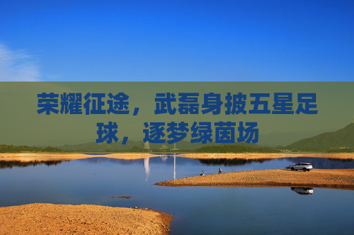 荣耀征途,武磊身披五星足球,逐梦绿茵场