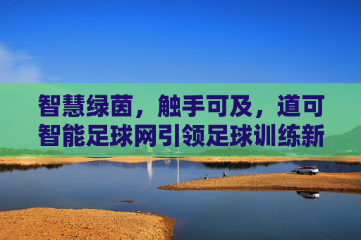 智慧绿茵,触手可及,道可智能足球网引领足球训练新纪元