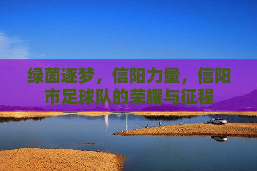 绿茵逐梦,信阳力量,信阳市足球队的荣耀与征程