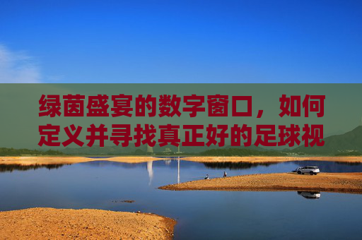 绿茵盛宴的数字窗口,如何定义并寻找真正好的足球视频网站