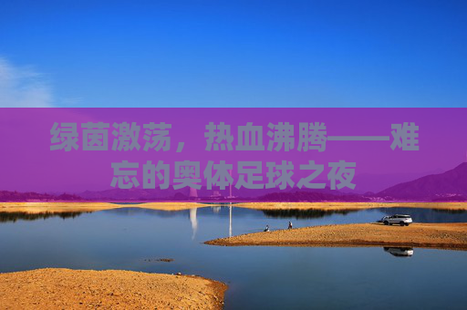 绿茵激荡,热血沸腾——难忘的奥体足球之夜