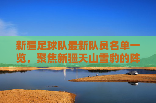 新疆足球队最新队员名单一览，聚焦新疆天山雪豹的阵容构成