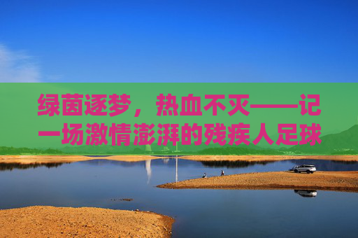 绿茵逐梦,热血不灭——记一场激情澎湃的残疾人足球赛