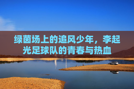 绿茵场上的追风少年，李起光足球队的青春与热血