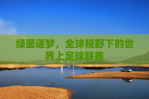绿茵逐梦,全球视野下的世界上足球联赛
