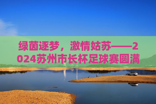 绿茵逐梦，激情姑苏——2024苏州市长杯足球赛圆满落幕