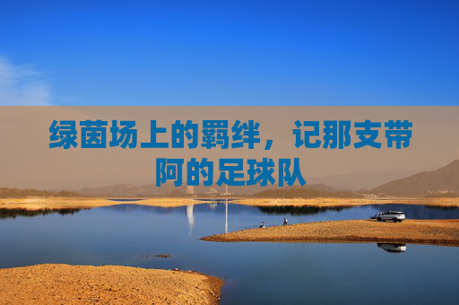 绿茵场上的羁绊,记那支带阿的足球队