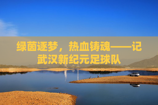 绿茵逐梦，热血铸魂——记武汉新纪元足球队