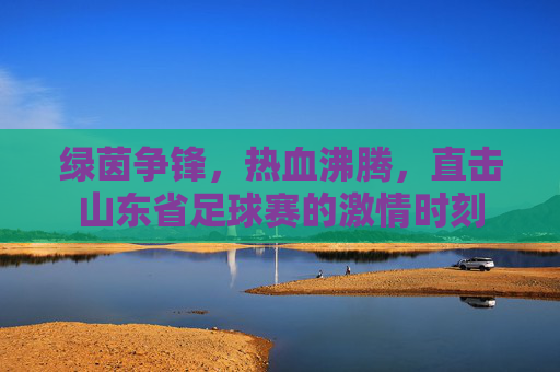 绿茵争锋，热血沸腾，直击山东省足球赛的激情时刻