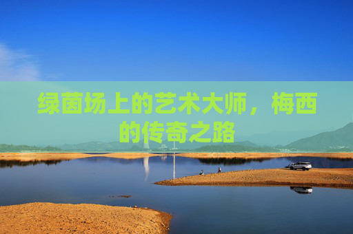 绿茵场上的艺术大师,梅西的传奇之路