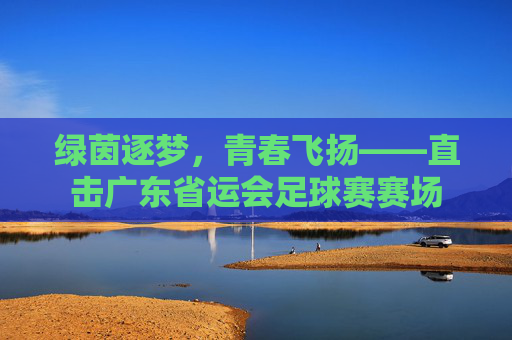 绿茵逐梦,青春飞扬——直击广东省运会足球赛赛场