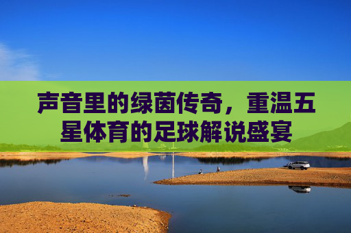 声音里的绿茵传奇,重温五星体育的足球解说盛宴