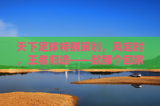 天下足球特别策划,风起时,王者归途——致那个回家的葡萄牙人