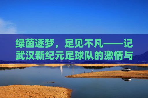 绿茵逐梦，足见不凡——记武汉新纪元足球队的激情与荣光