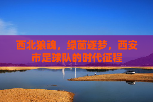 西北狼魂,绿茵逐梦,西安市足球队的时代征程