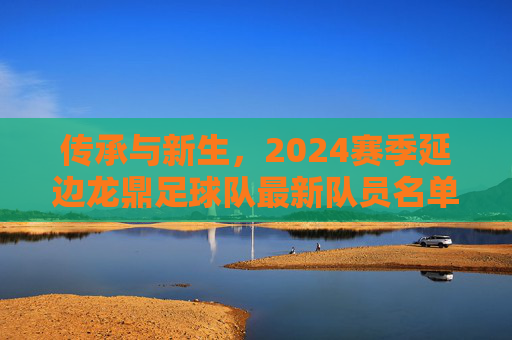 传承与新生,2024赛季延边龙鼎足球队最新队员名单全解析
