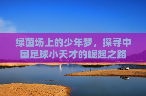 绿茵场上的少年梦，探寻中国足球小天才的崛起之路